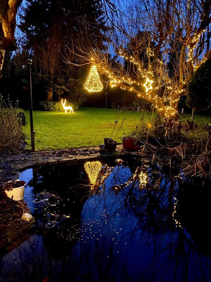 Bed And Breakfast De Haen - Prive-Appartementen Van 43 Of 60 M2 Met Tweepersoons Bubbelbad - Finse Sauna - In Westvleugel Van Luxe Villa Осс Экстерьер фото