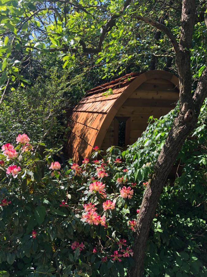 Bed And Breakfast De Haen - Prive-Appartementen Van 43 Of 60 M2 Met Tweepersoons Bubbelbad - Finse Sauna - In Westvleugel Van Luxe Villa Осс Экстерьер фото