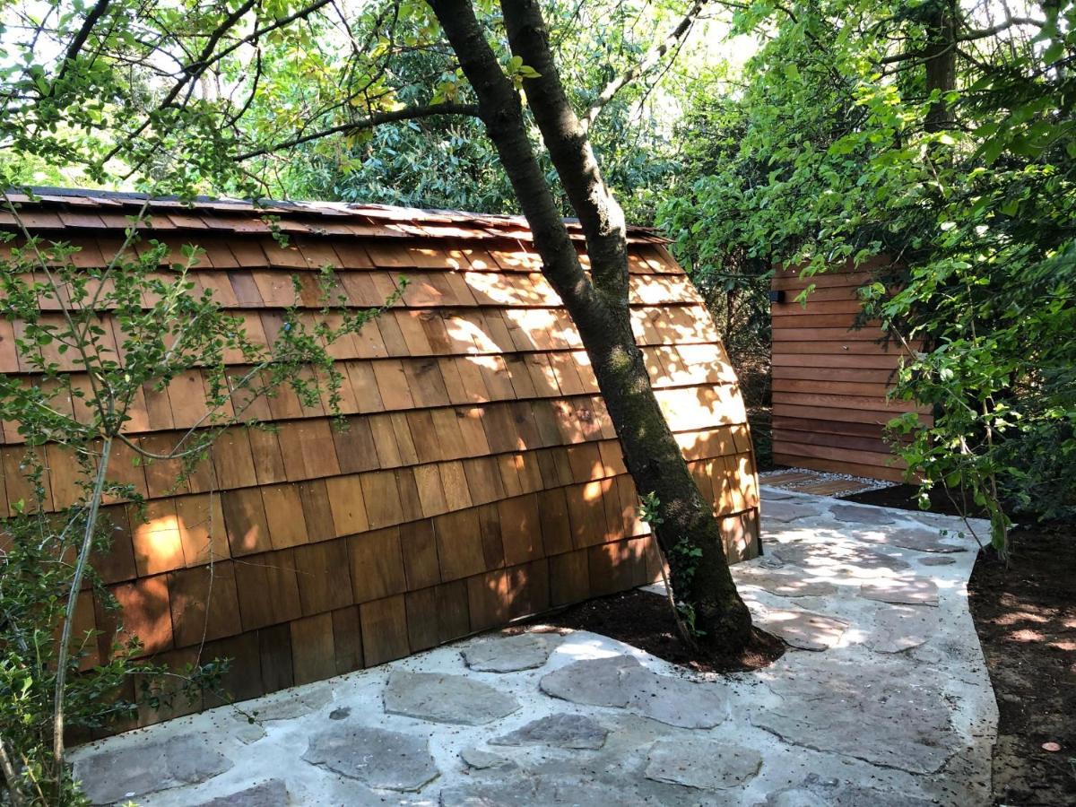 Bed And Breakfast De Haen - Prive-Appartementen Van 43 Of 60 M2 Met Tweepersoons Bubbelbad - Finse Sauna - In Westvleugel Van Luxe Villa Осс Экстерьер фото