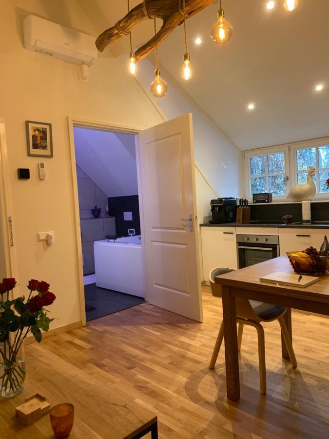 Bed And Breakfast De Haen - Prive-Appartementen Van 43 Of 60 M2 Met Tweepersoons Bubbelbad - Finse Sauna - In Westvleugel Van Luxe Villa Осс Экстерьер фото