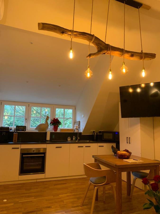 Bed And Breakfast De Haen - Prive-Appartementen Van 43 Of 60 M2 Met Tweepersoons Bubbelbad - Finse Sauna - In Westvleugel Van Luxe Villa Осс Экстерьер фото