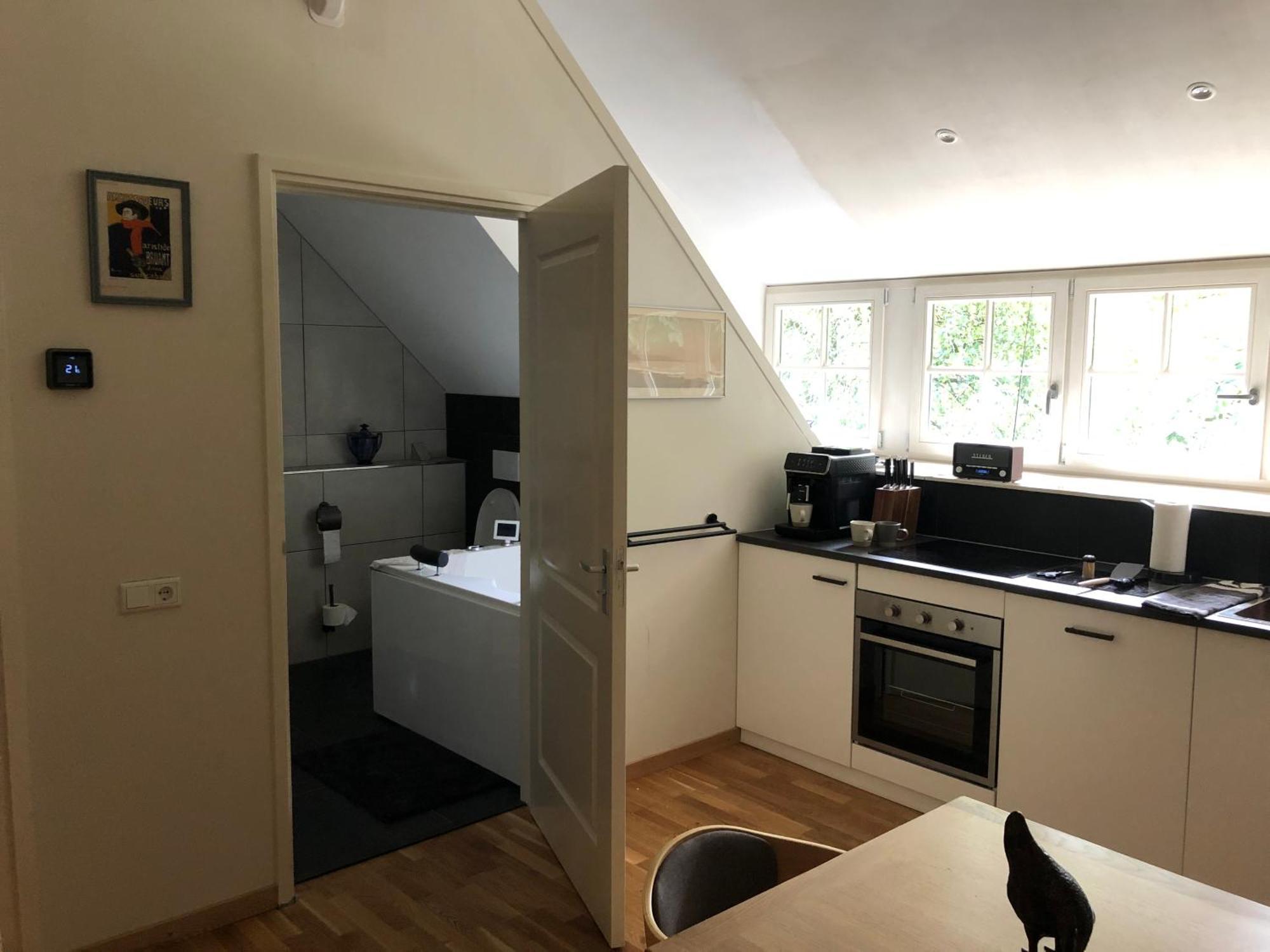 Bed And Breakfast De Haen - Prive-Appartementen Van 43 Of 60 M2 Met Tweepersoons Bubbelbad - Finse Sauna - In Westvleugel Van Luxe Villa Осс Экстерьер фото