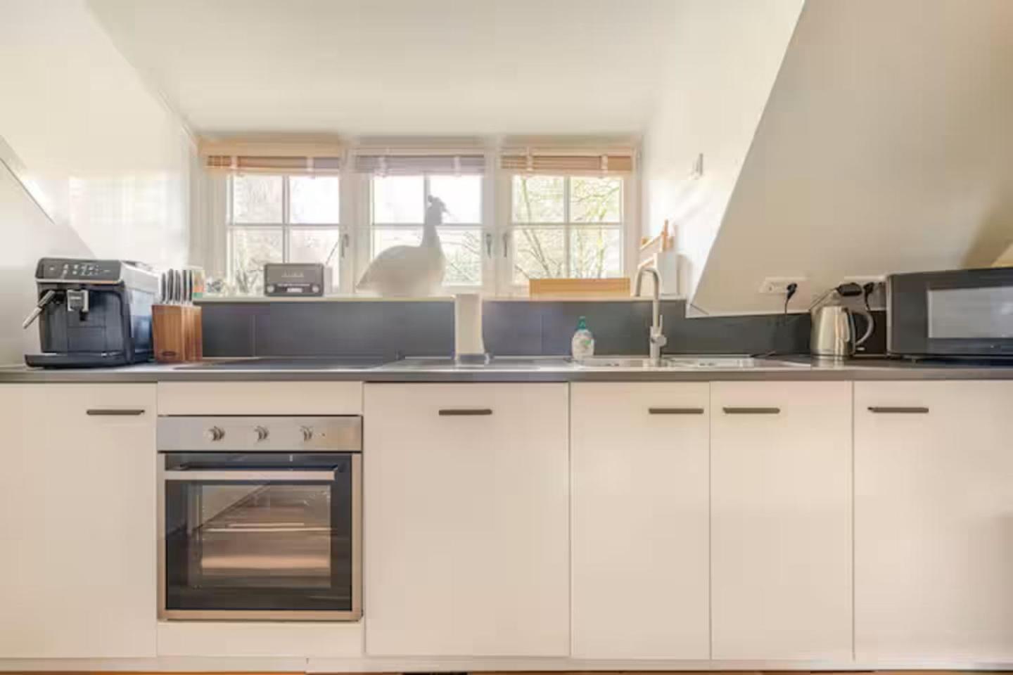 Bed And Breakfast De Haen - Prive-Appartementen Van 43 Of 60 M2 Met Tweepersoons Bubbelbad - Finse Sauna - In Westvleugel Van Luxe Villa Осс Экстерьер фото